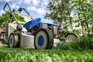 Tipps & Anleitung zum Rasen mähen