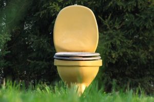 Urinstein im Klo & Ablagerungen in Toilette entfernen