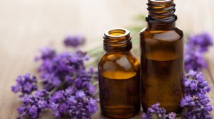 Lavendel als Hausmittel und Heilpflanze