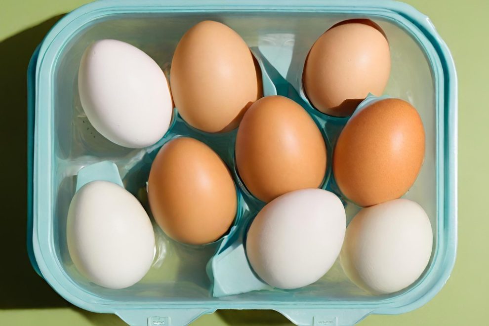 Eier lagern und haltbar machen.
